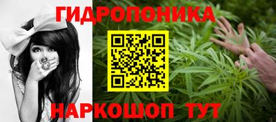 молекула духа Можга