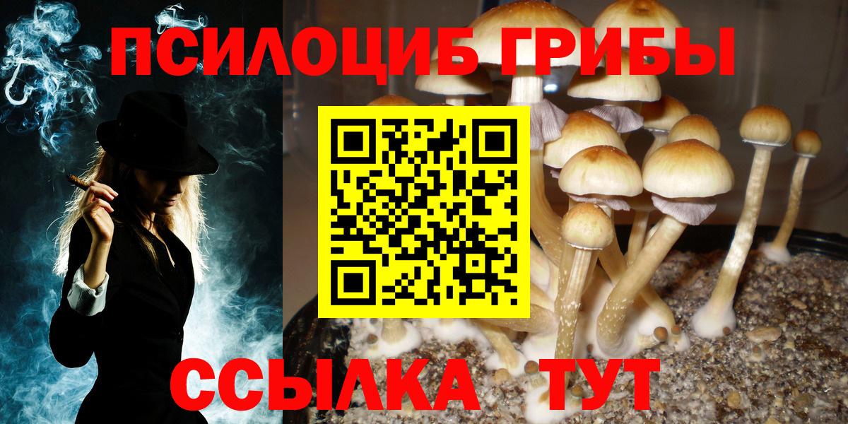 Псилоцибиновые грибы мицелий  Вход с VPN  Чебоксары 