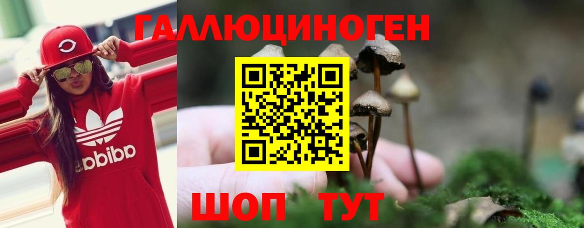 Псилоцибиновые грибы MAGIC MUSHROOMS Чебоксары